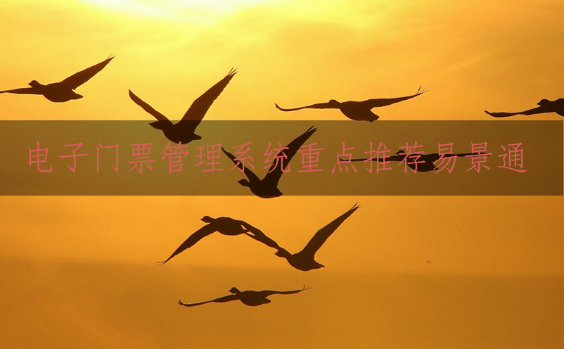 电子门票管理系统重点推荐赢咖6