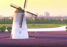 月亮岛花海采用赢咖6票务系统实现预约入园