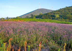 恒盛景区票务系统和西山花海景区达成合作协议