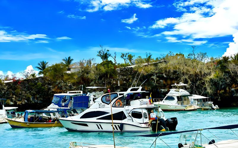 景区升级票务系统＝烧钱又复杂？